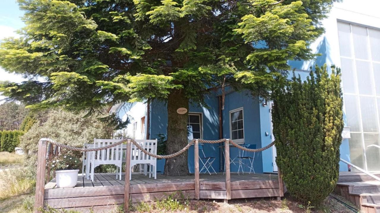 Ferienwohnung Naturparadies Gnitz Lutow Exteriör bild